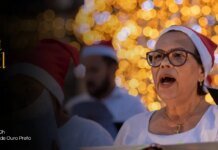 IBAMA e INCRA abrem seleção com 60 vagas temporárias para nível superior