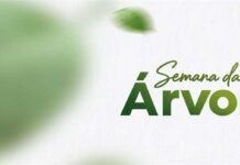 Itabira terá nove dias de atividades sobre árvores, clima e preservação ambiental