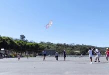 Festival de Pipas reúne cerca de 1.500 pessoas no Parque de Exposições