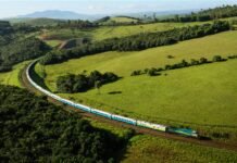 Trem de Férias tem passagens à venda para viagens em dezembro